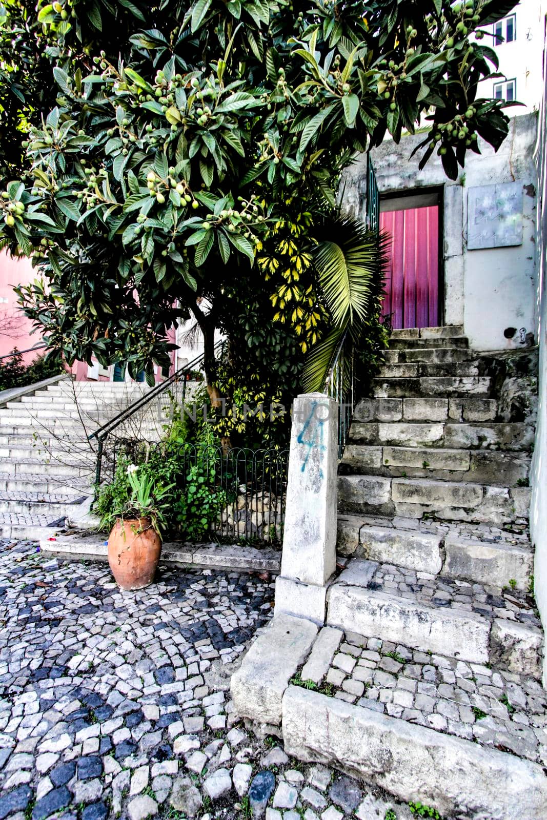 Narrow and colorful streets with majestic facades, windows and balconies of Lisbon city in Portugal in a cloudy day