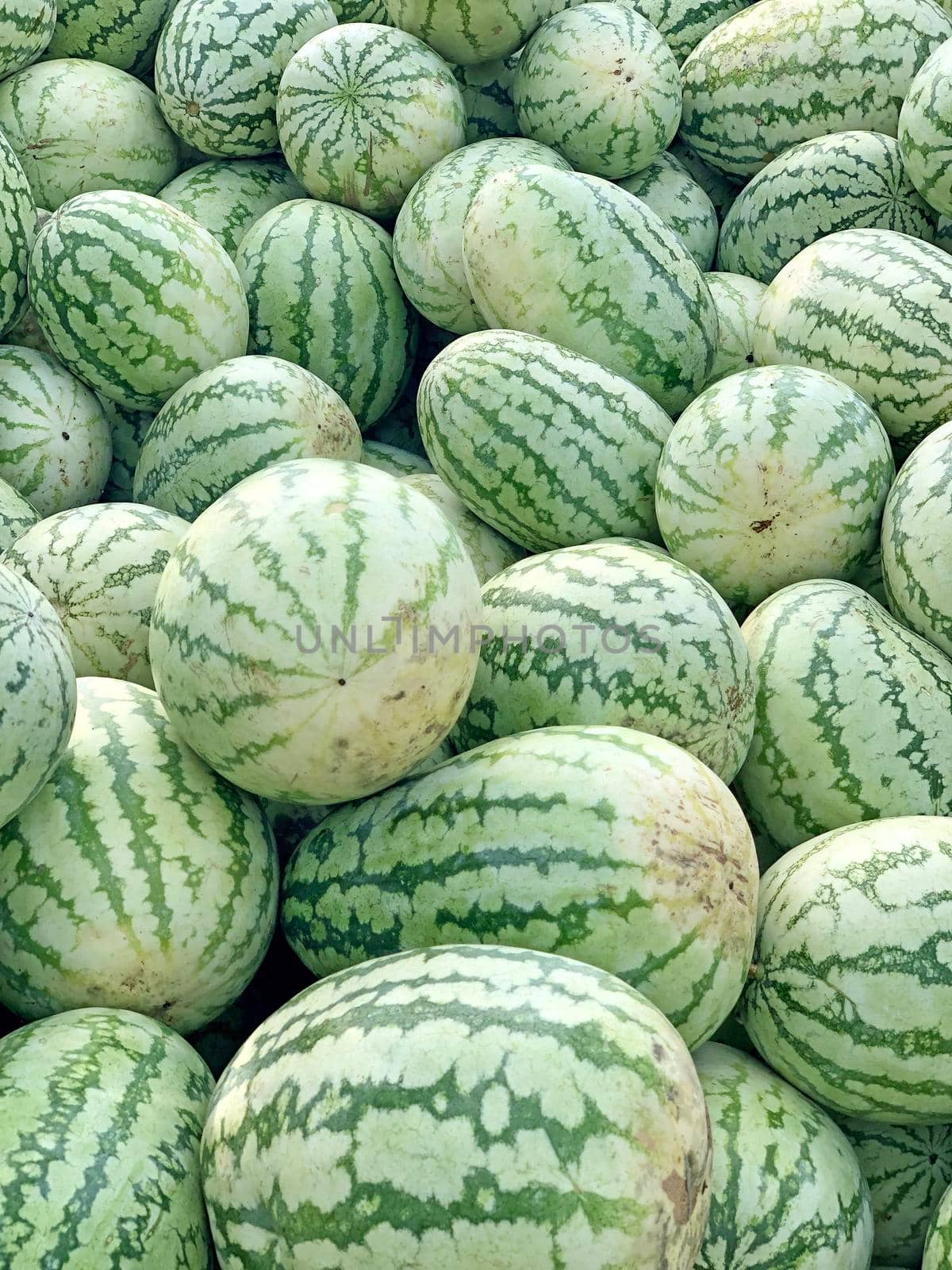 Full frame view of watermelons kept in market. Healthy food and highly cultivated fruit in the worldwide.