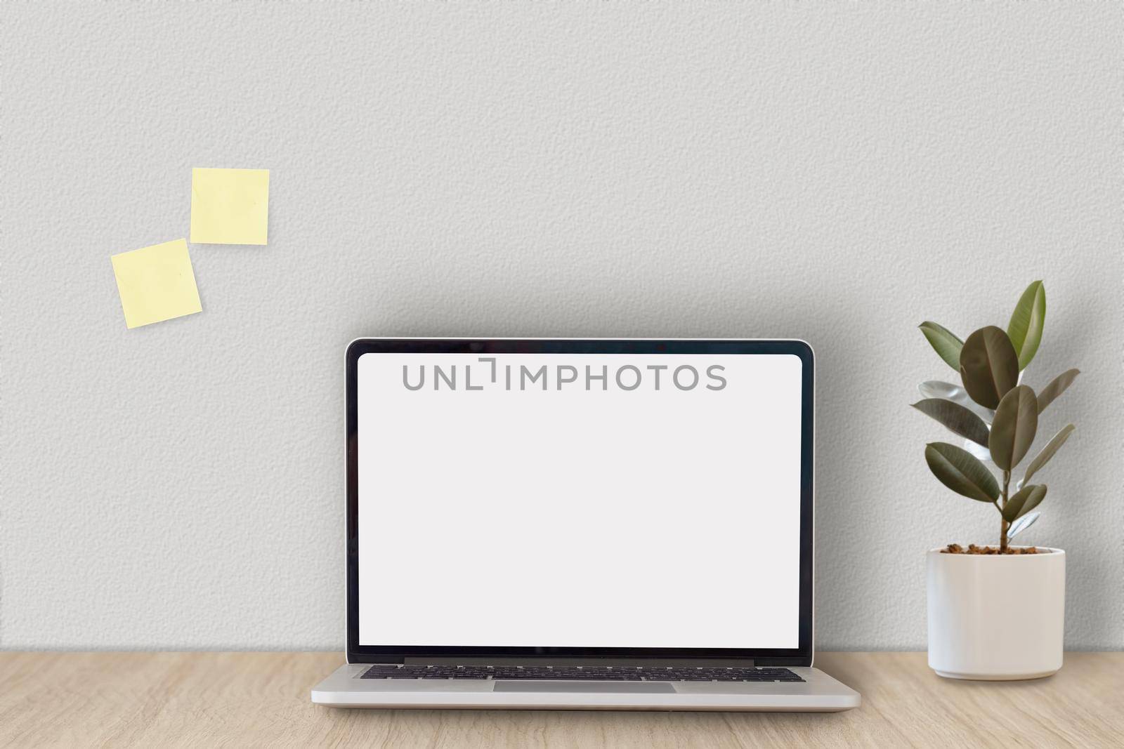 Cropped shot of minimal workspace with mock-up laptop, plant, decorations and copy space