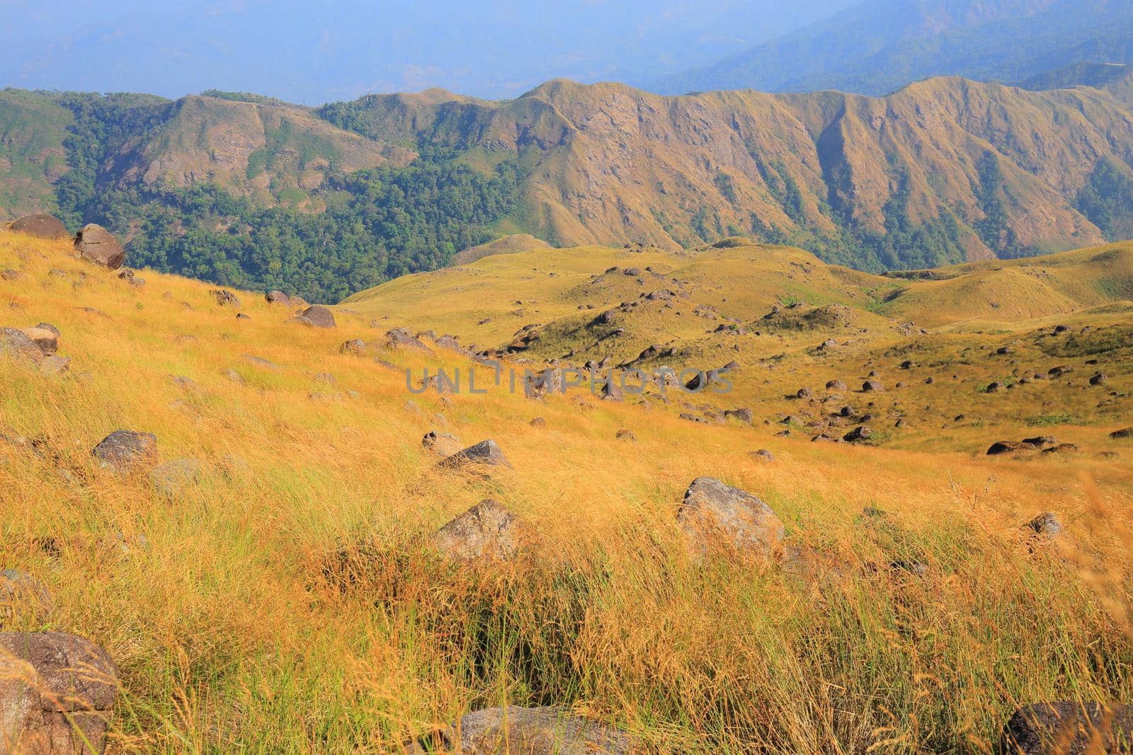 The meadow on the mountain in the evening there is sunshine.