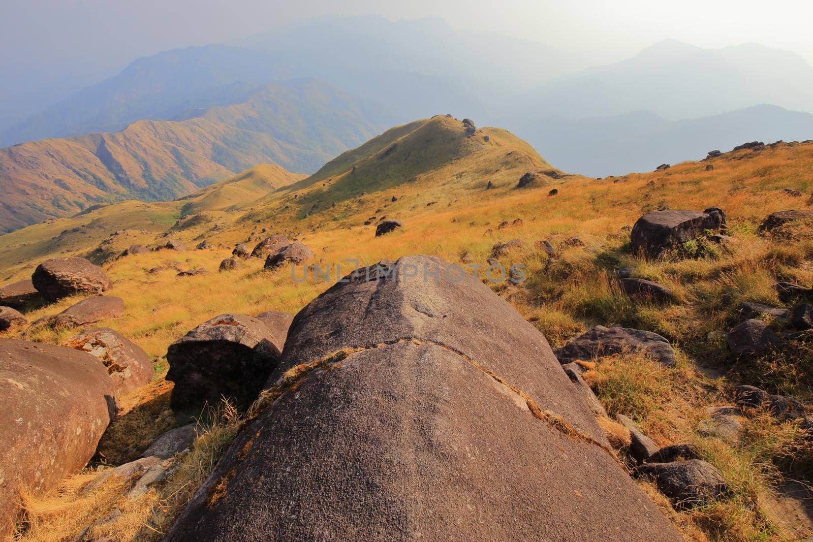 The mountain meadow has large round stones.