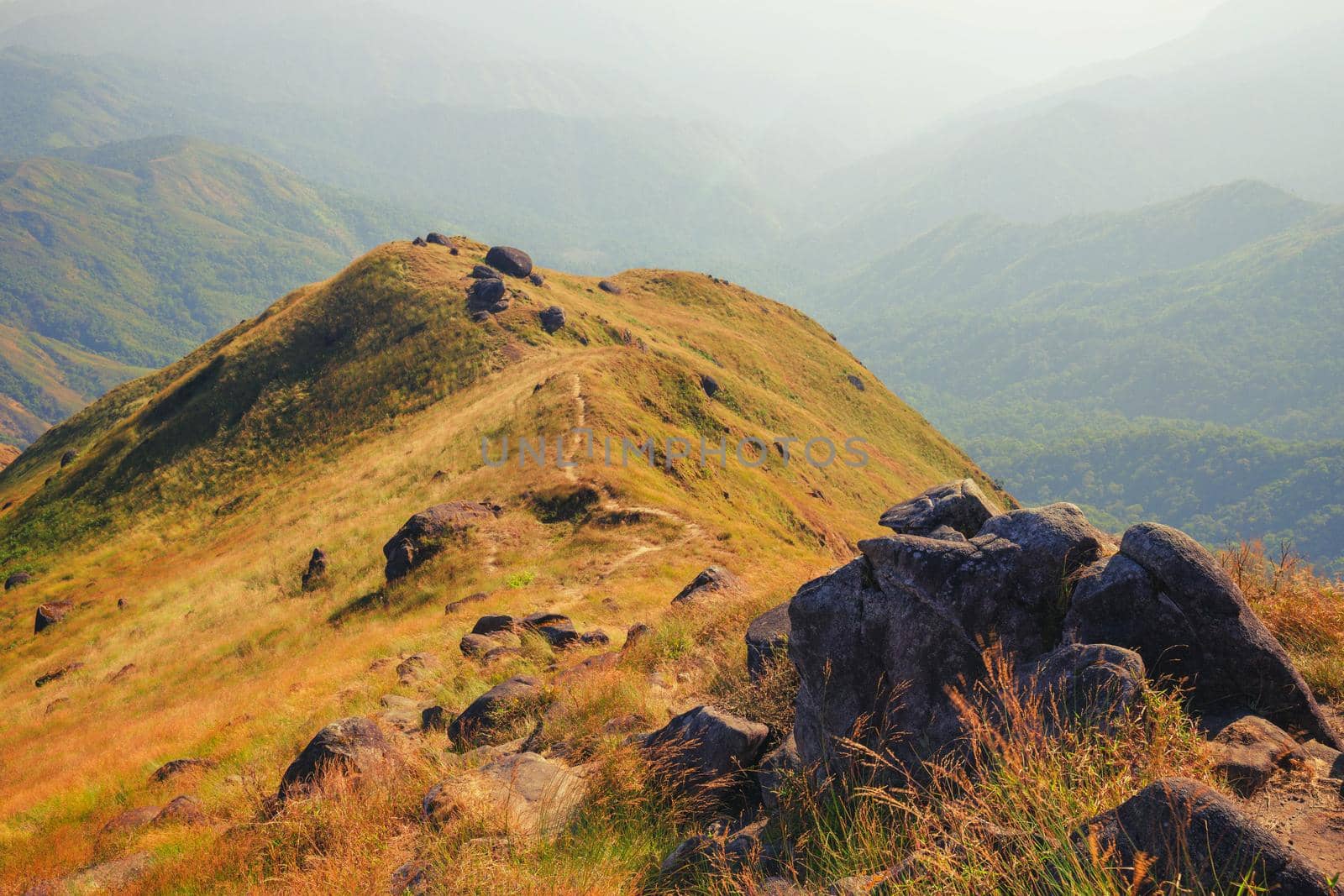 A mountain view full of grass In the evening