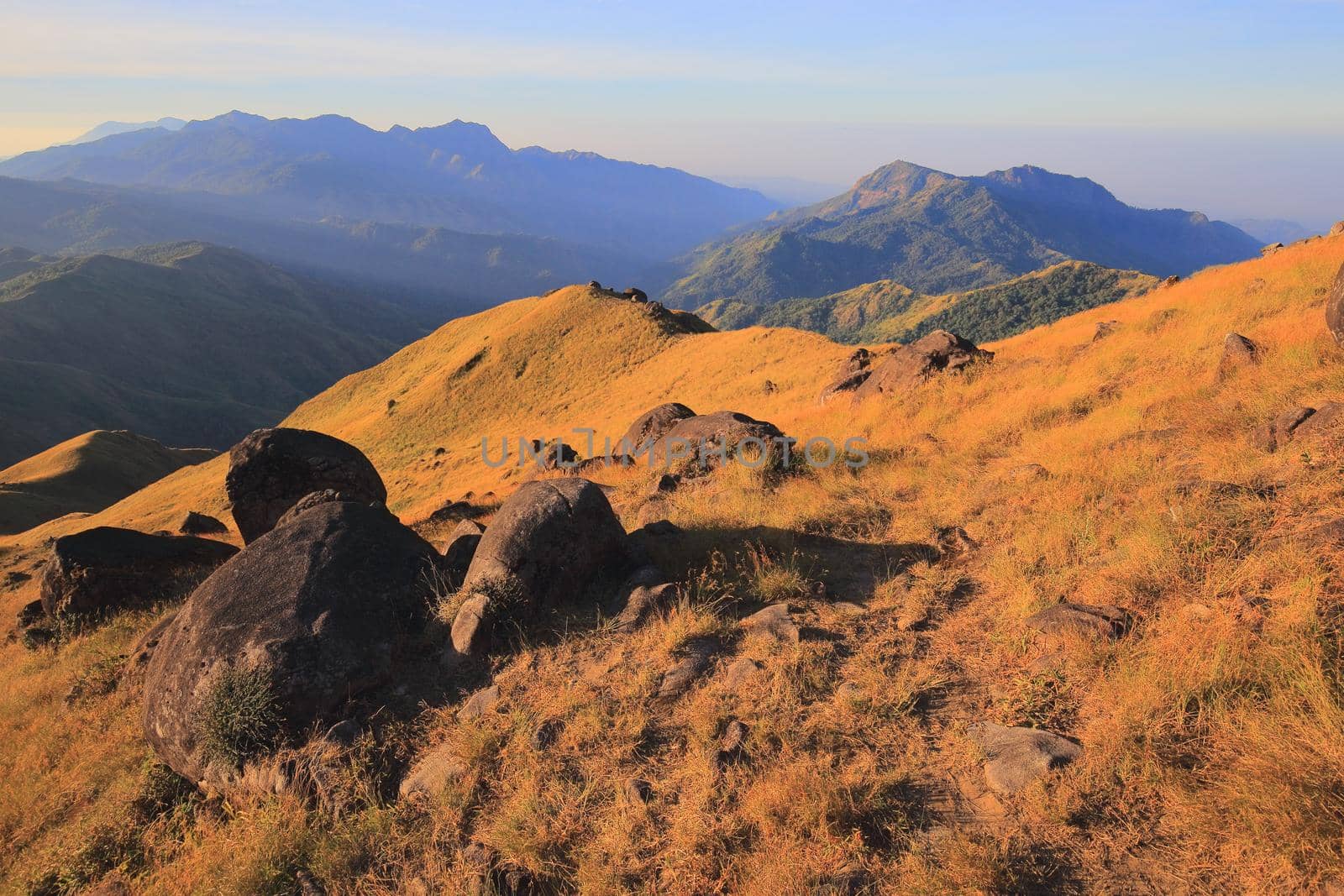The grassland on the hills in the morning