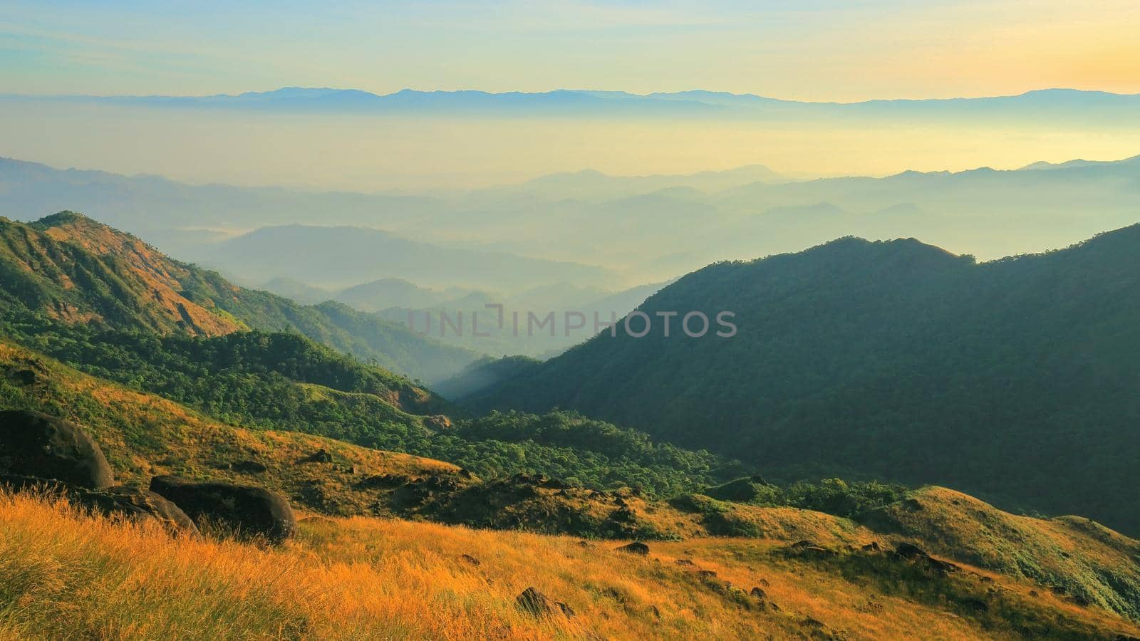 The grassland on the hills in the morning