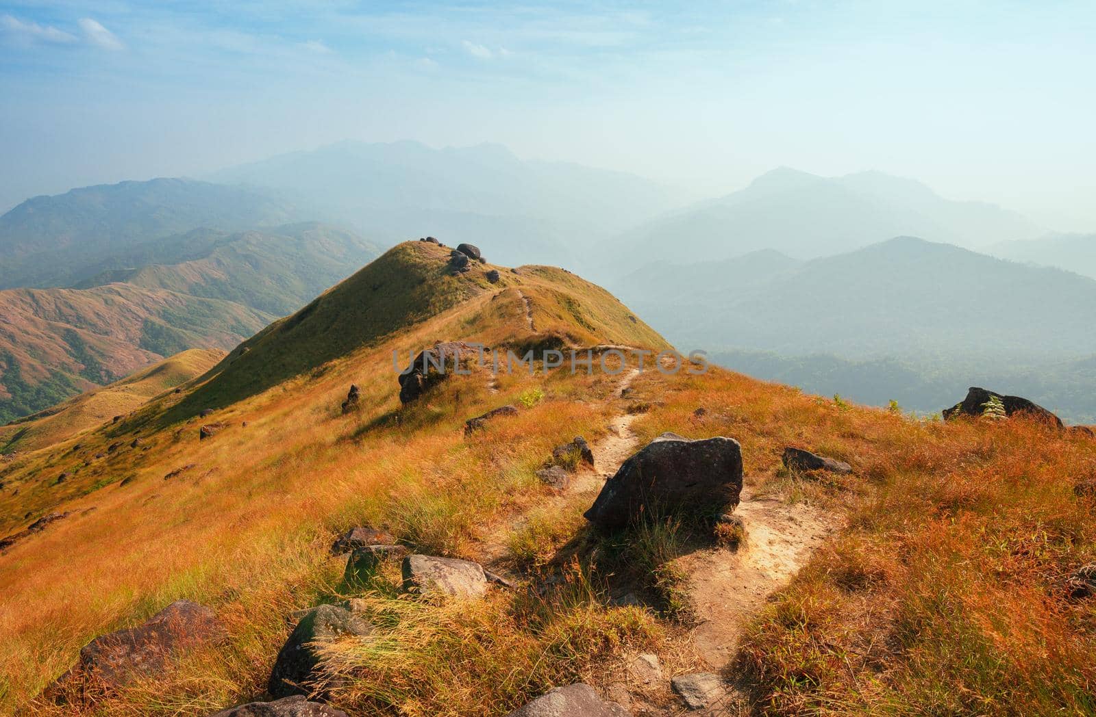 A mountain view full of grass In the evening