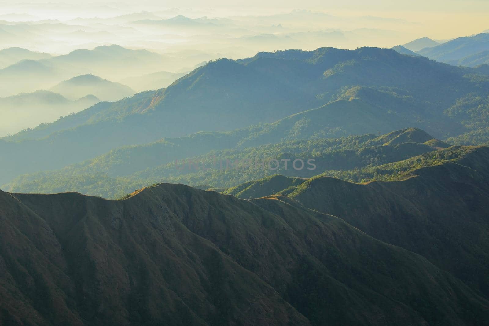 The green mountains in the morning are sunny.