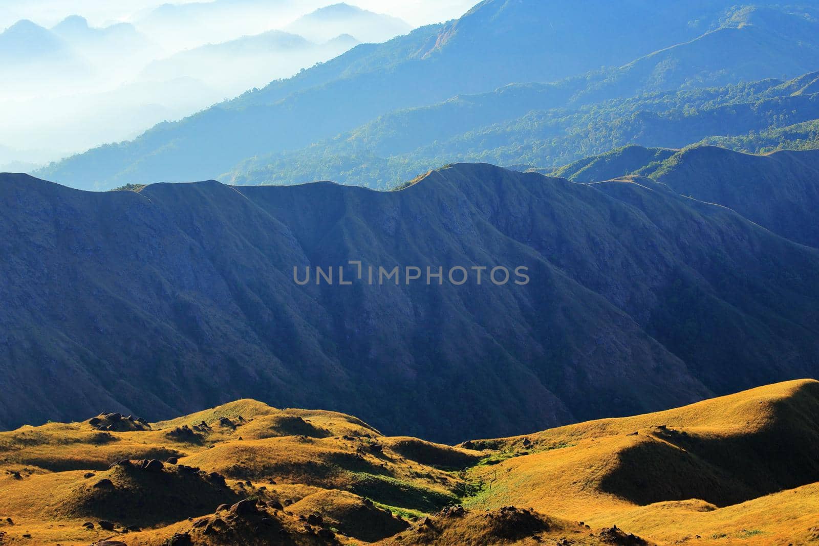 Morning meadow With mountains in the background