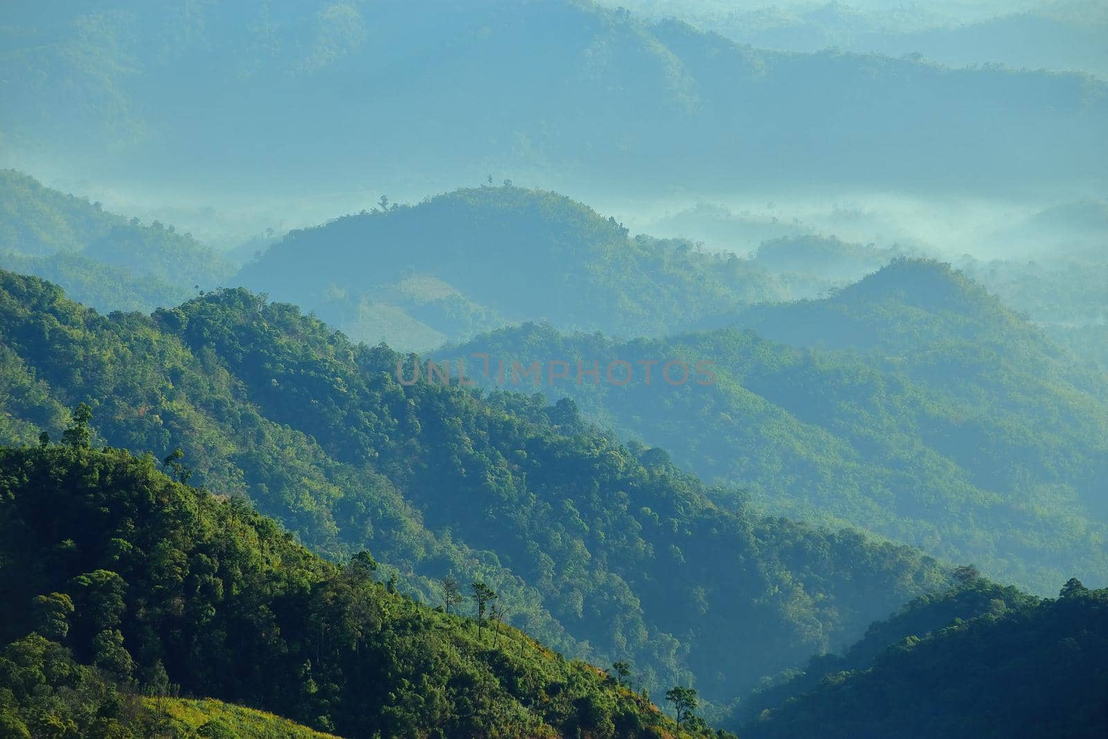 The green mountains in the morning are sunny.