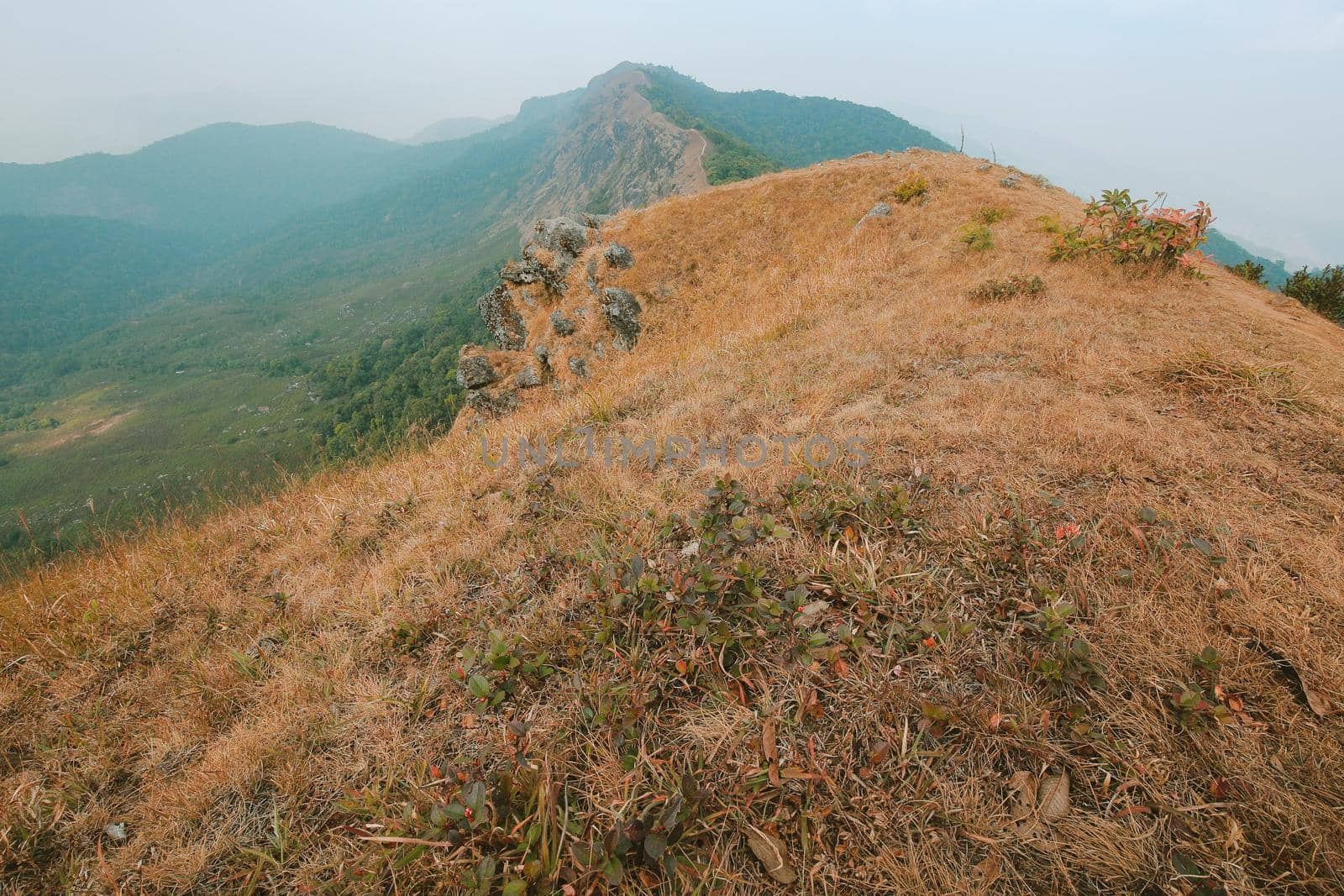 The highest point has mountains and the sky as the background.