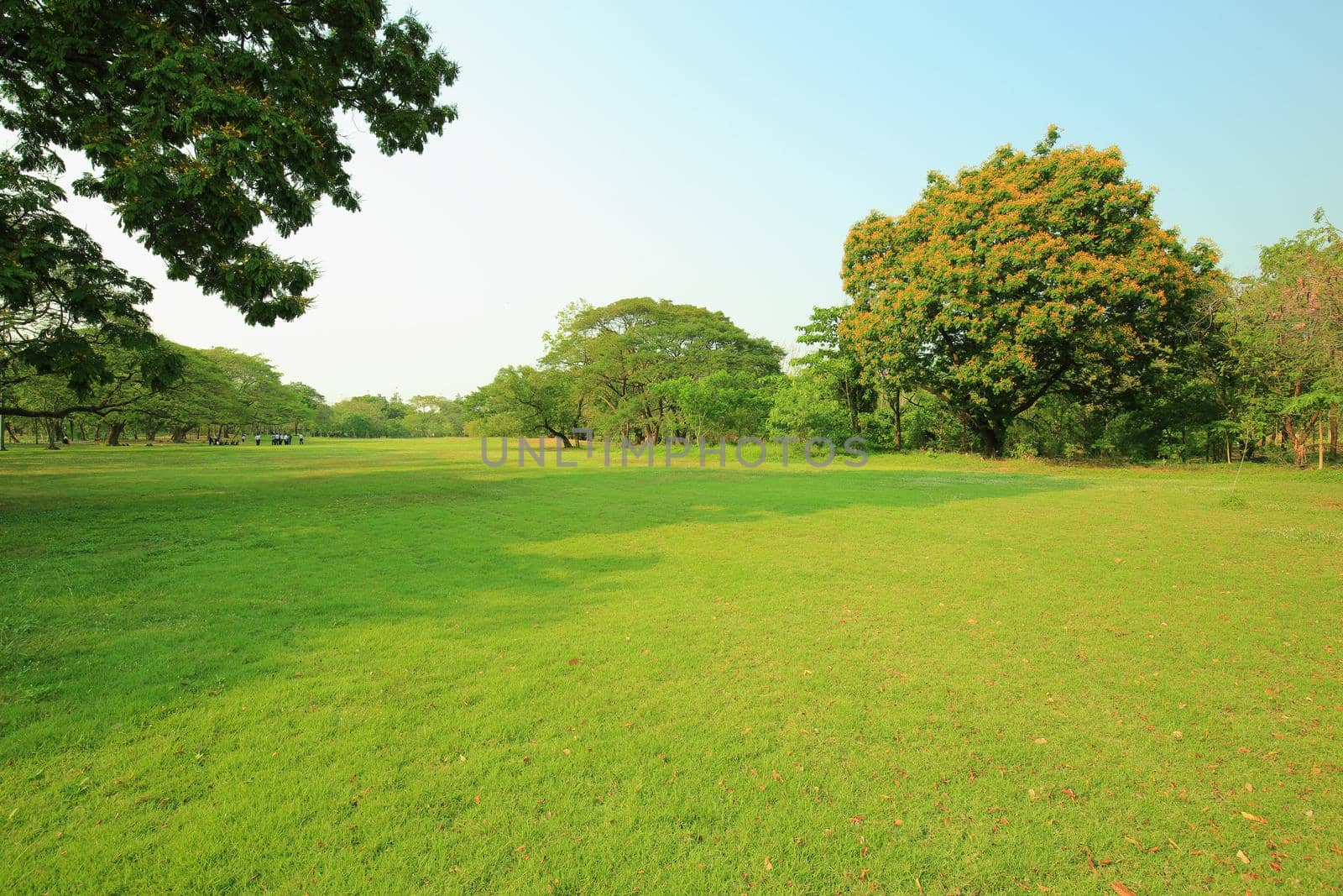 The park has fresh green lawns. On a sunny day