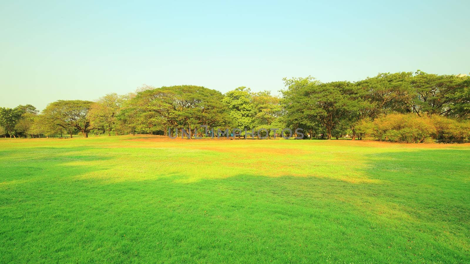 The park has fresh green lawns. On a sunny day