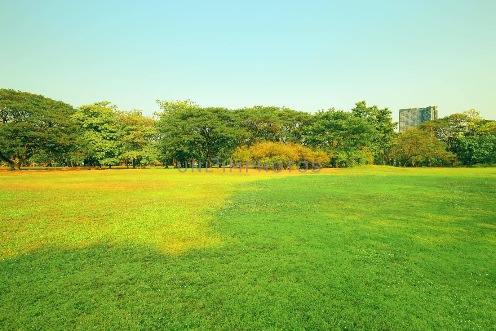 The park has fresh green lawns. On a sunny day
