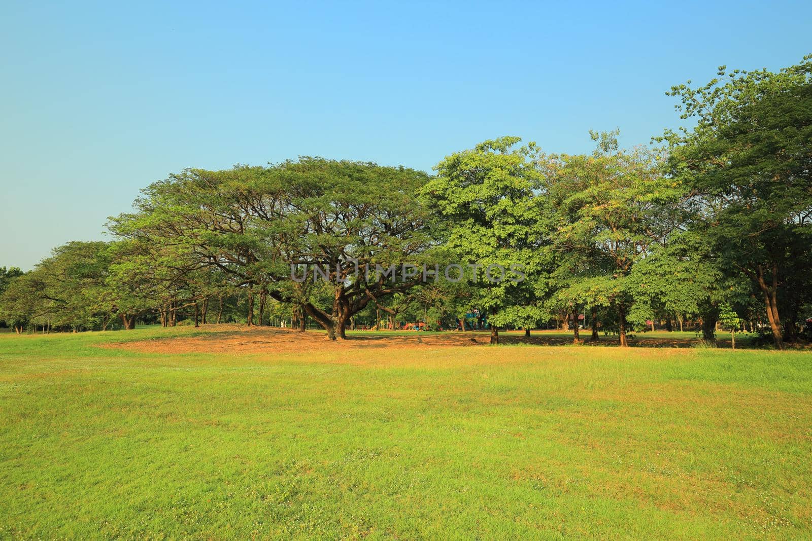 The park has fresh green lawns. On a sunny day