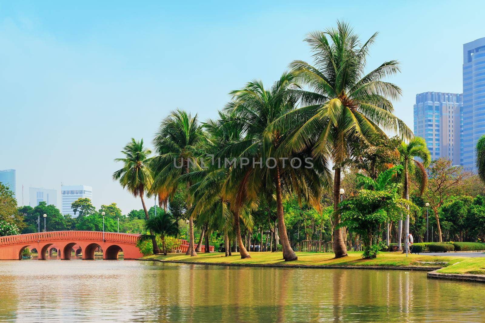Bangkok Public Park On a sunny day