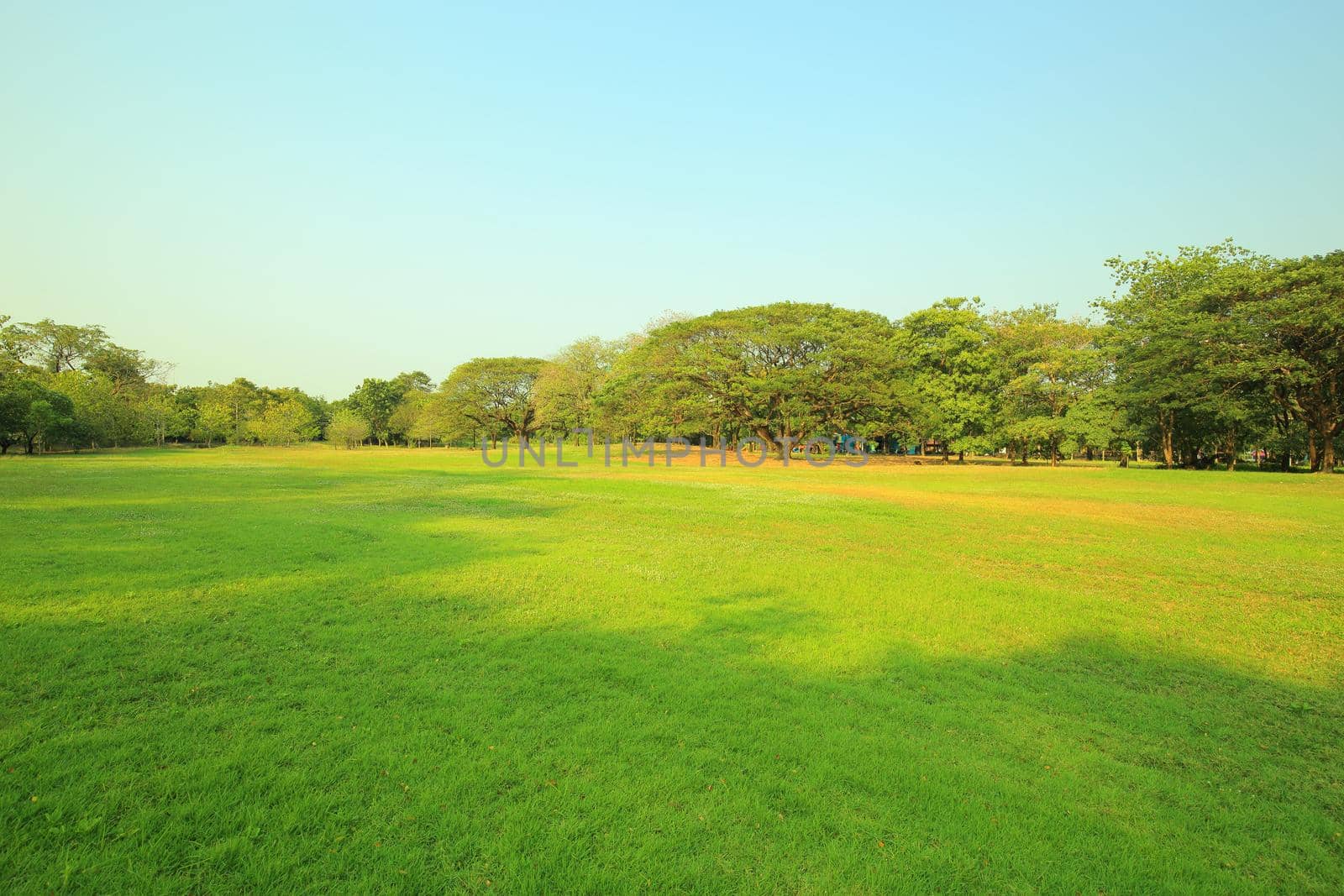 The park has fresh green lawns. On a sunny day