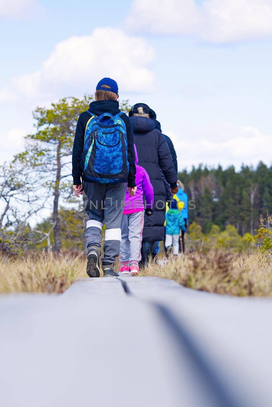 Group of young People walking along duckboards on bog. nature exploring. Friends hiking in the bog or swamp trail, boardwalk. Estonia by PhotoTime