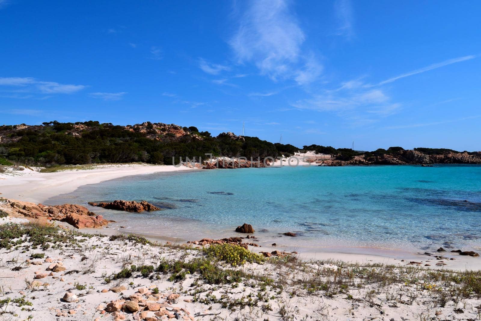 View of the wonderful Pink Beach in Costa Smeralda, Sardinia, Italy by silentstock639