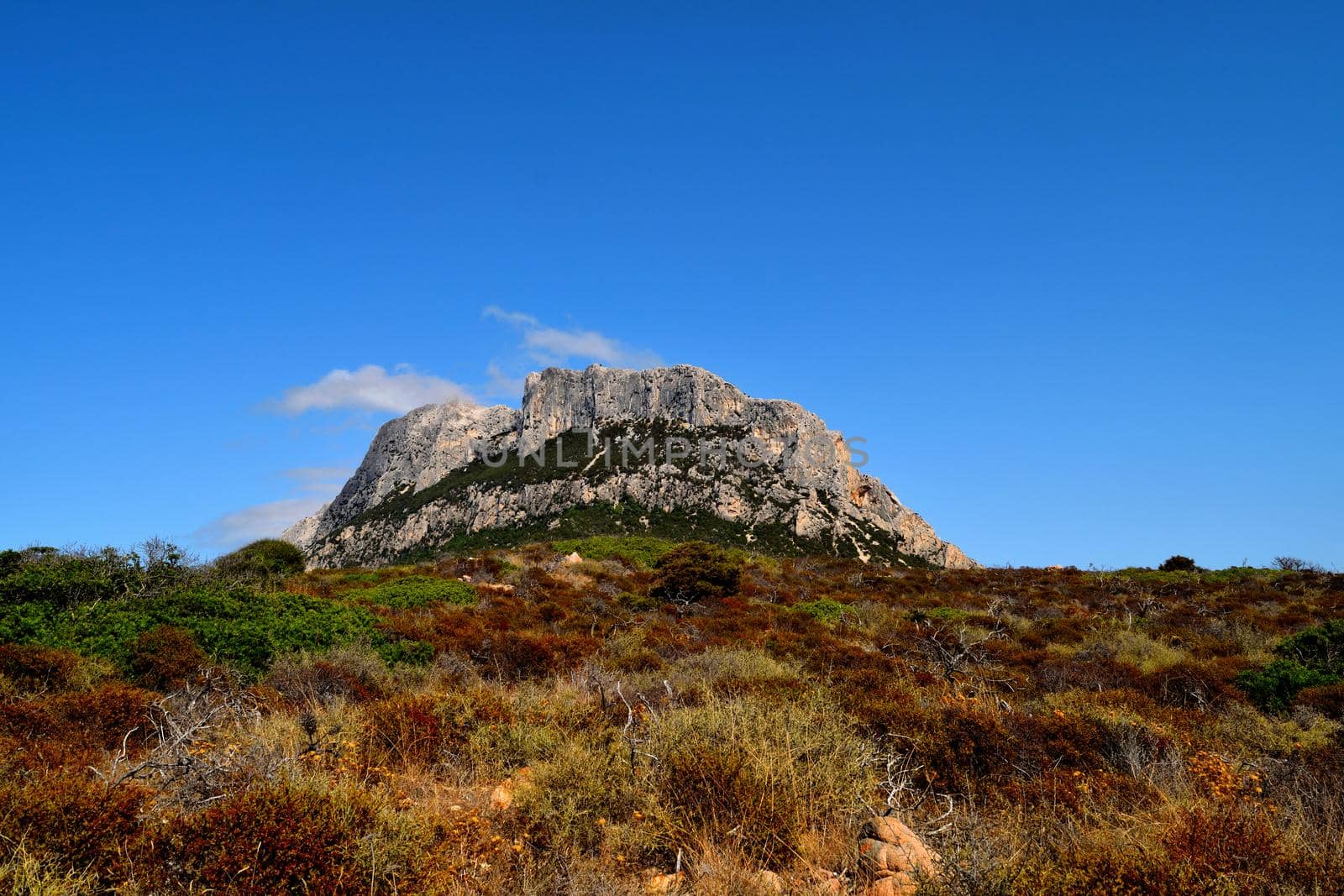 Wonderful view of Tavolara island, Sardinia, Italy by silentstock639