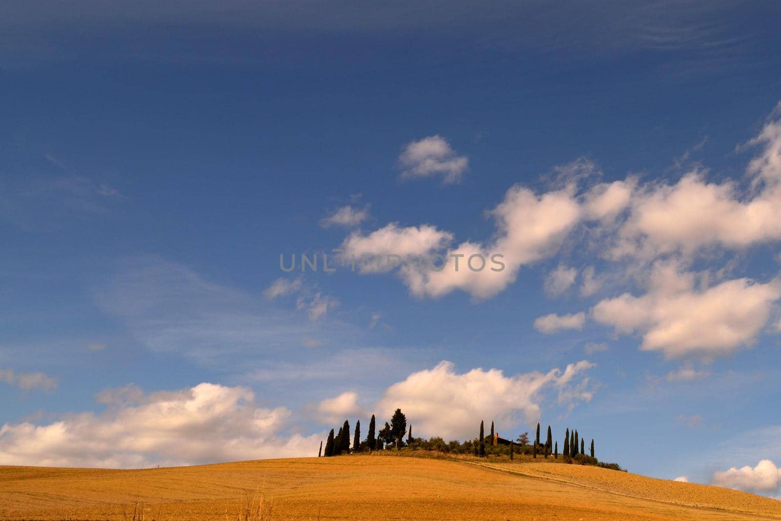 View of the beautiful Tuscan countryside with its unique colors.