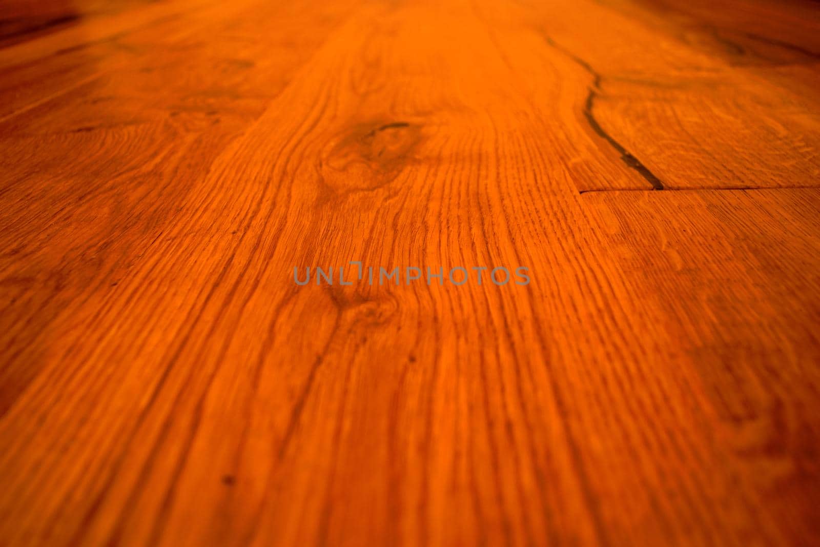 Closeup of a parquet floor with its natural veins. by silentstock639