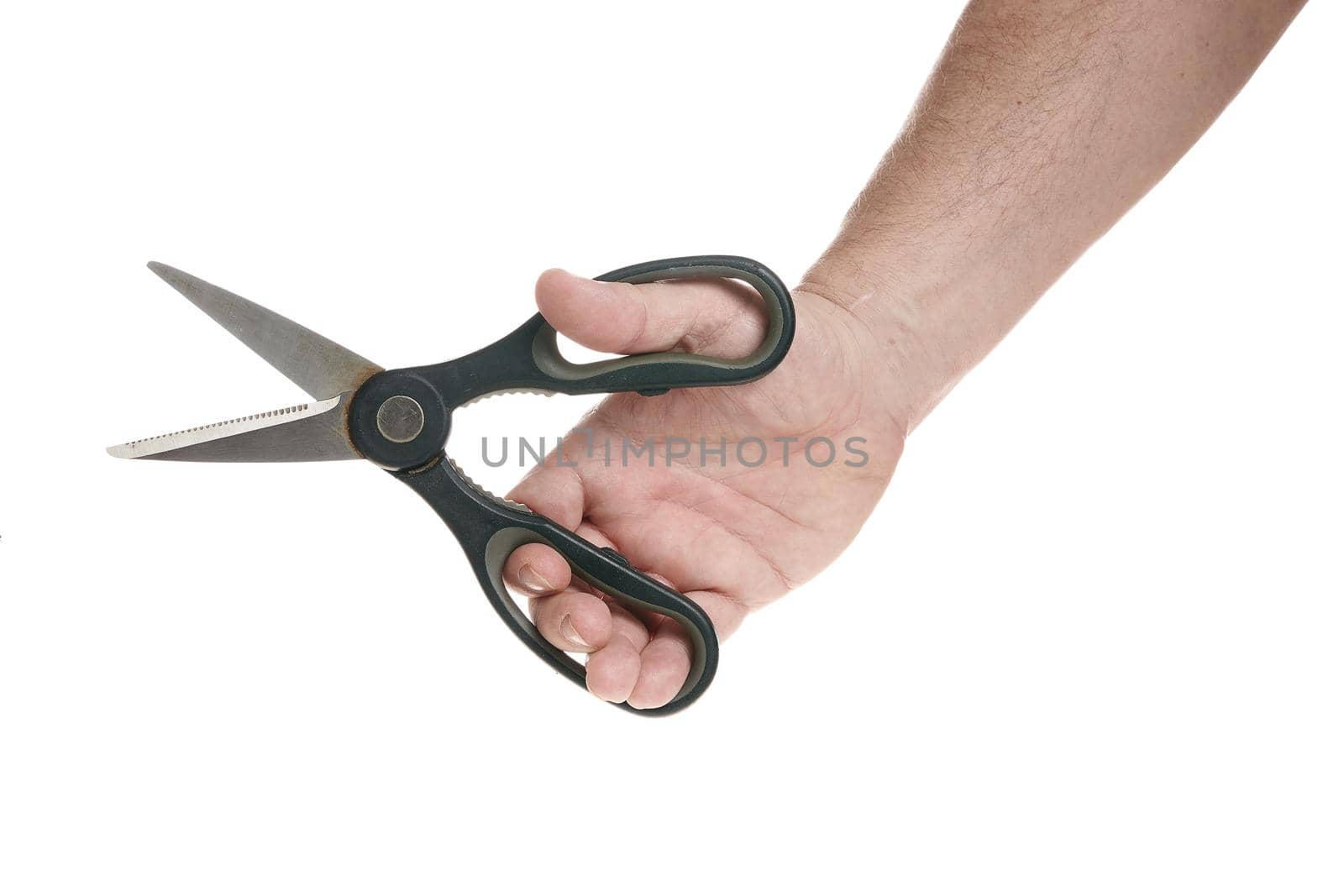 Hand holds kitchen scissors on a white background by vizland