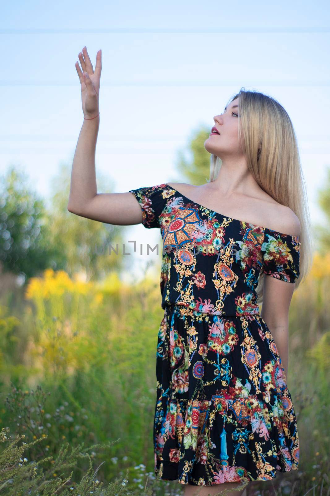 overlight bright portrait of a charming attractive blonde in flowery dress in the field by oliavesna