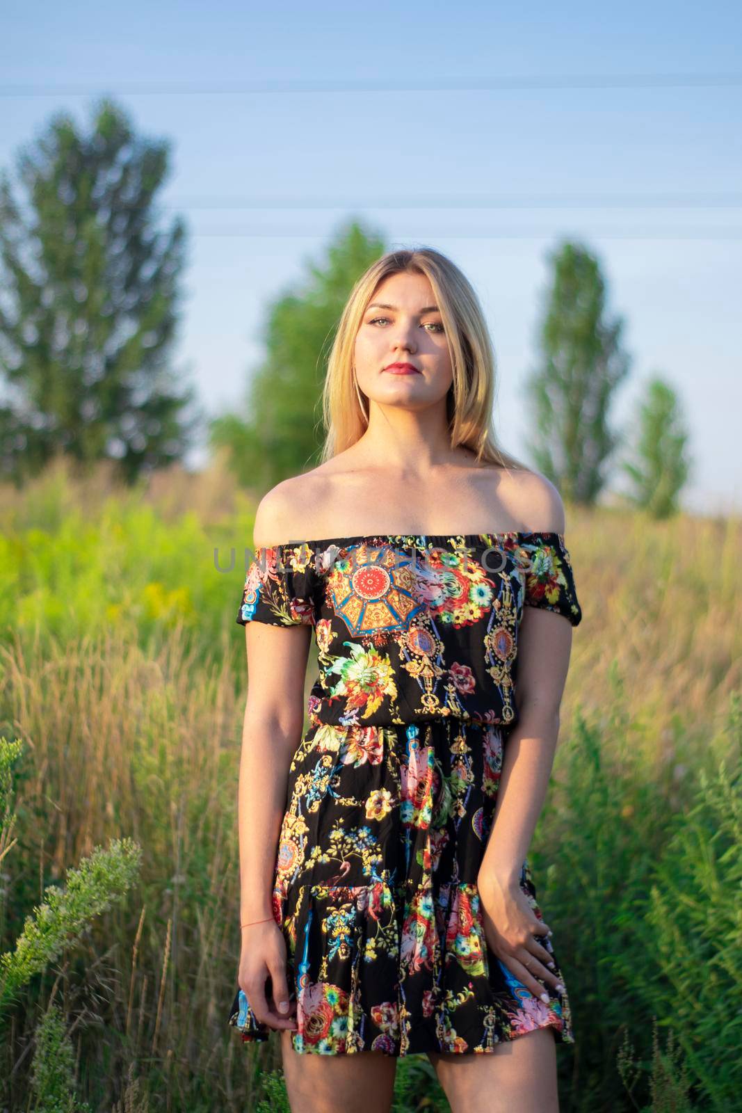 overlight bright portrait of a charming attractive blonde in flowery dress in the field by oliavesna