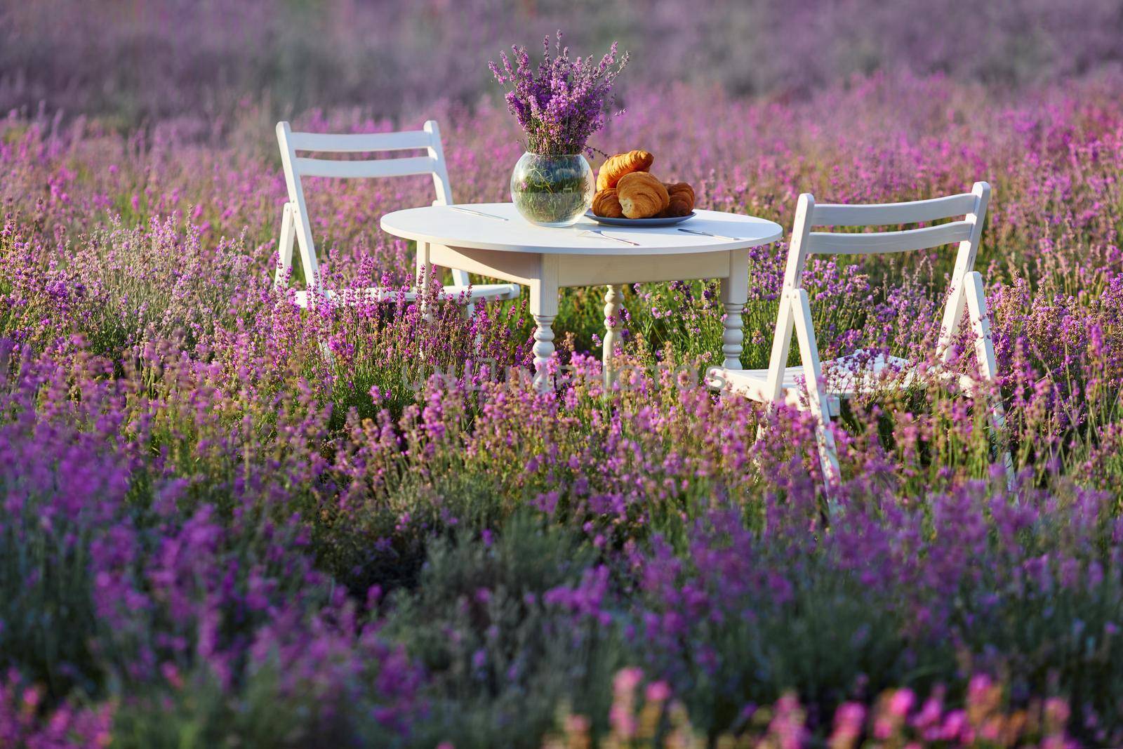 Decorated table and chairs in lavender field. by SerhiiBobyk