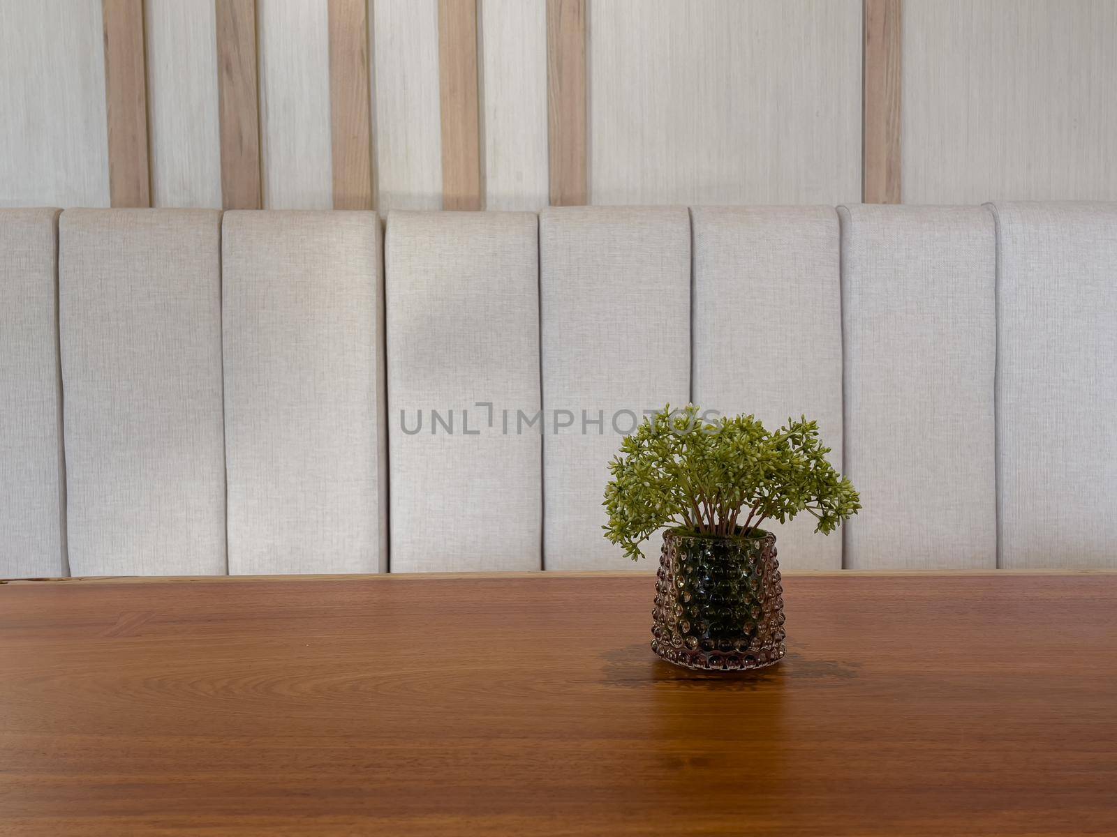 Table of free space with green plant by punsayaporn