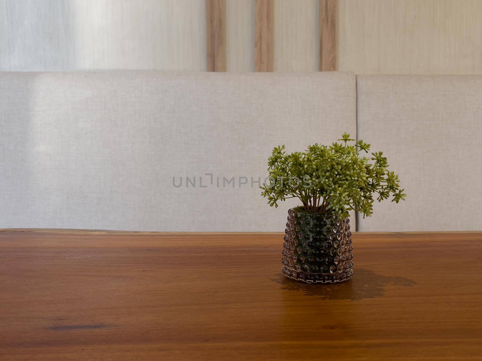 Table of free space with green plant by punsayaporn