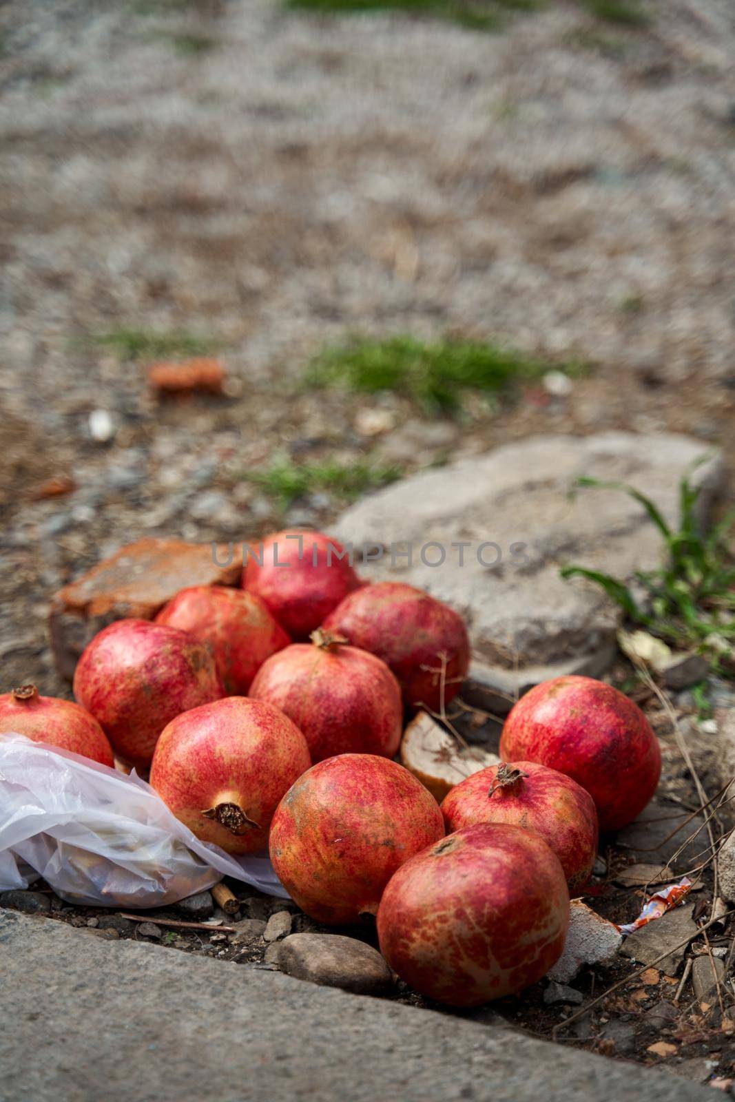 Ripe pomegranate fruits lie near the trash can. Help the homeless.