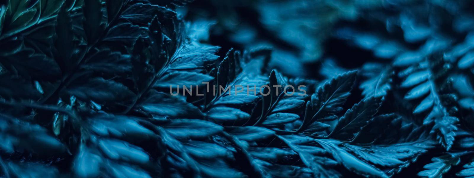 Blue plant leaves at night as surreal botanical background, minimal design by Anneleven