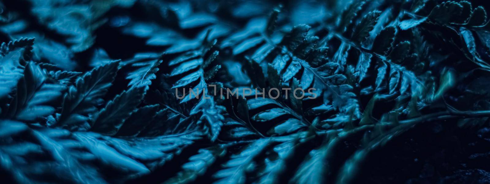 Blue plant leaves at night as surreal botanical background, minimal design by Anneleven