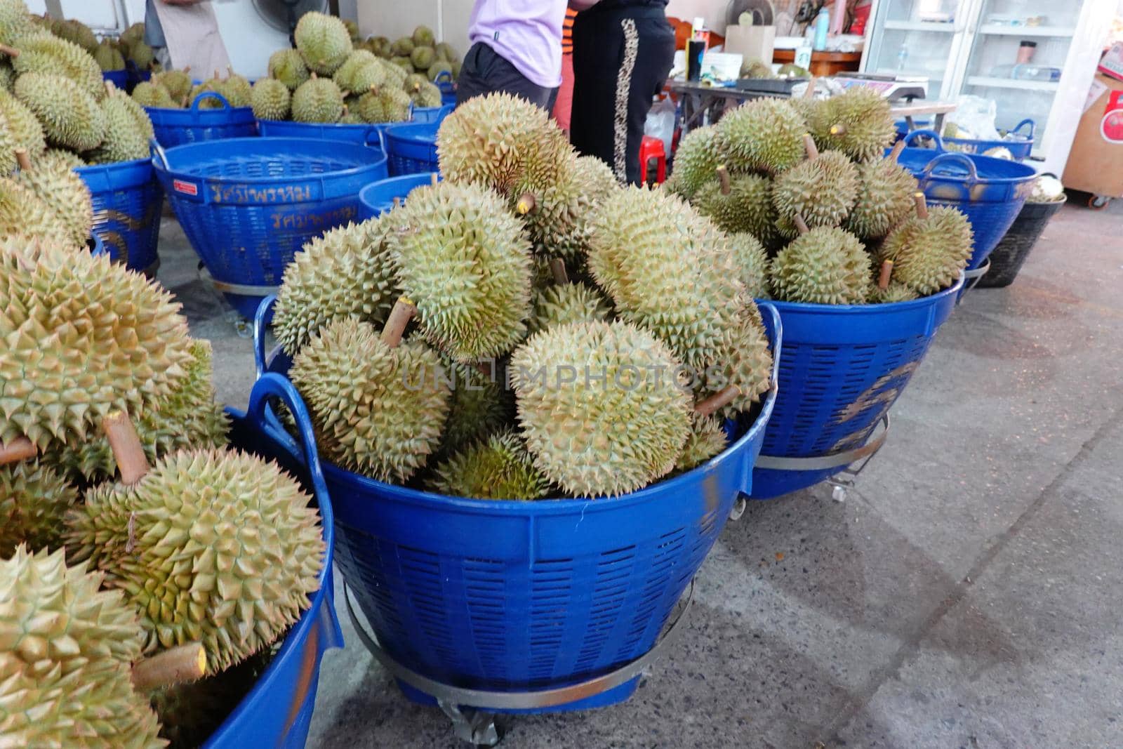 Basket full of durians at Talad Thai fruits market. by chuanchai