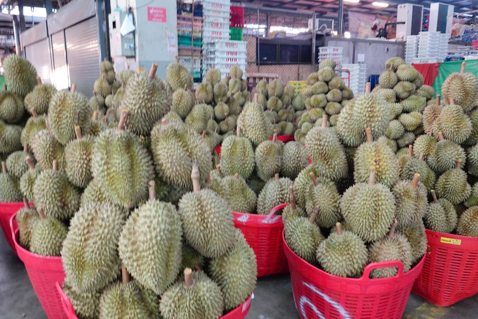 Basket full of durians at Talad Thai fruits market. by chuanchai