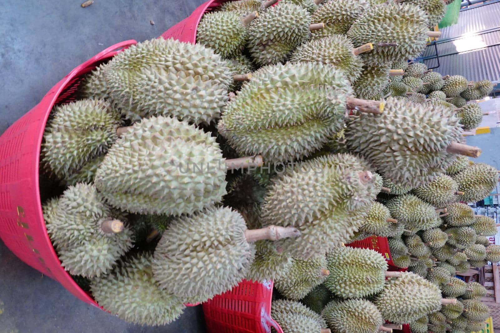 Basket full of durians at Talad Thai fruits market. by chuanchai