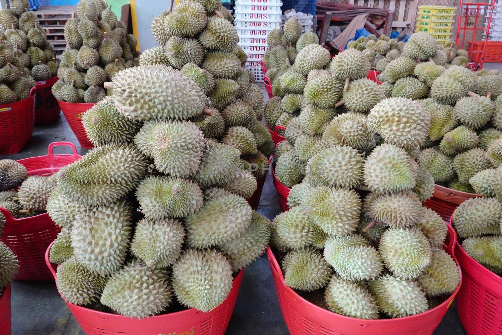 Basket full of durians at Talad Thai fruits market. by chuanchai