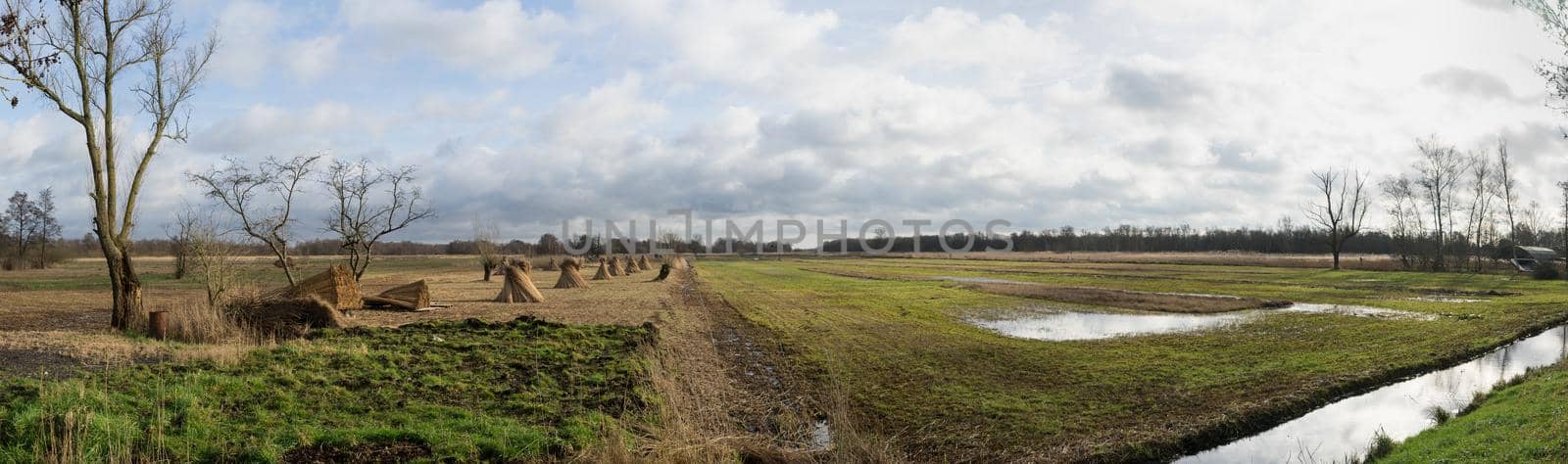 Panorama of grasslands and  reedlands near Dwarsgracht Giethoorn The Netherlands