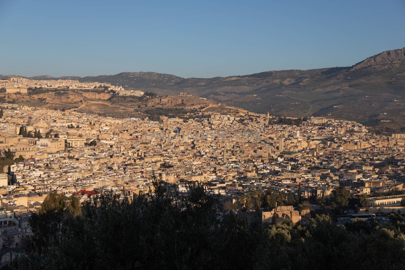 Fes Morocco cityscape with medina in centre seen from hills above in bright sun  by kgboxford