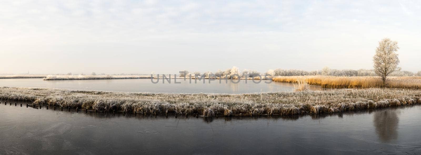 Dutch wetland with frost and snow in wintertime by LeoniekvanderVliet