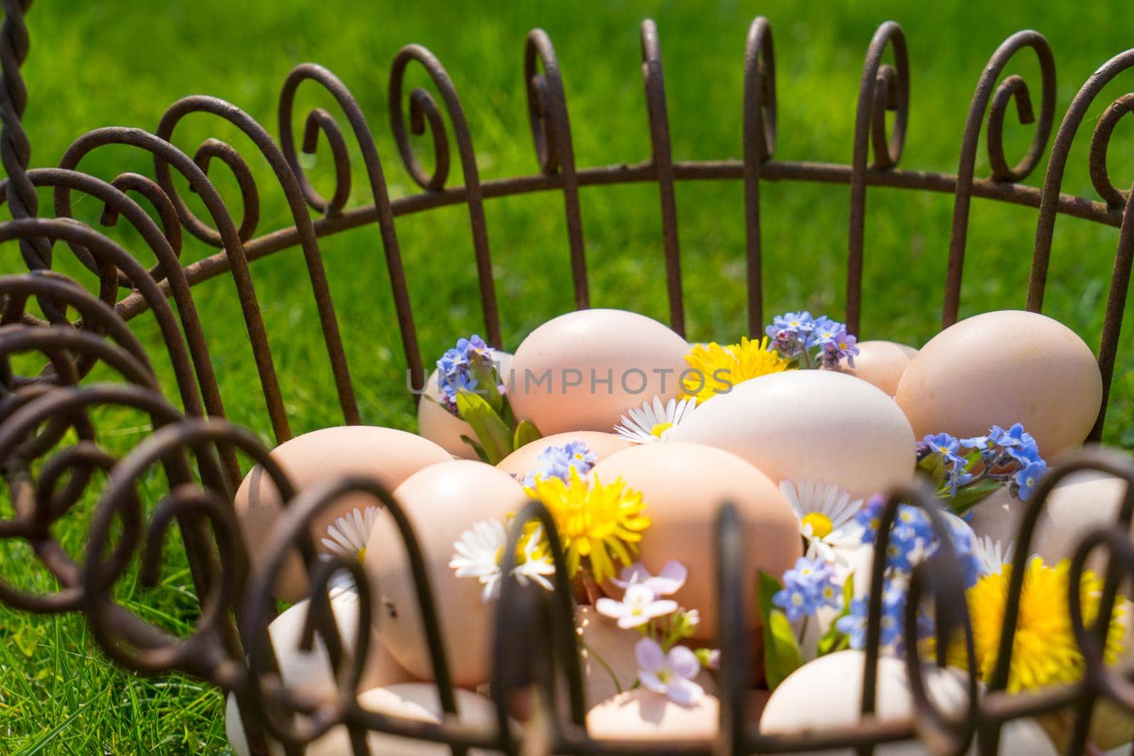 Basket with eggs on the grass to find on easter morning