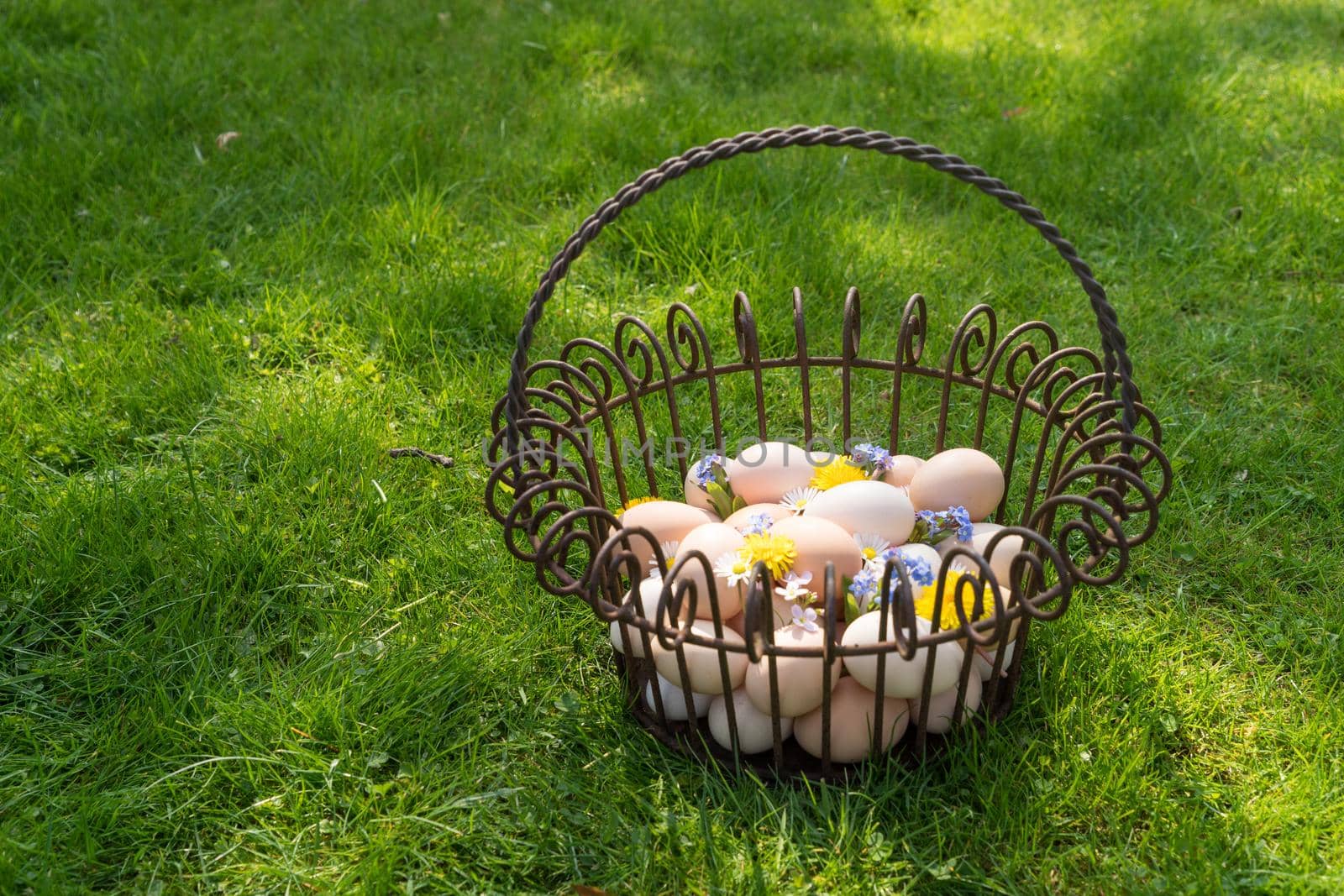 Basket with eggs on the grass to find on easter morning