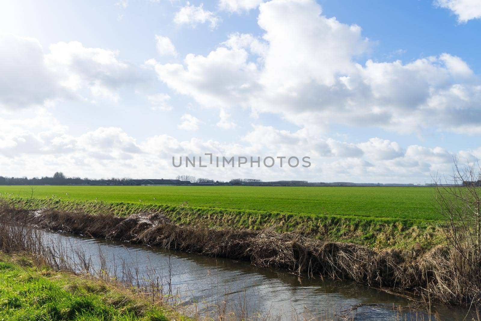 Bright colorful landscape with ditch. Cloudy sky over an endless field and meadow. Sunny day. Hulst, Zeeland, The Netherlands, Holland by LeoniekvanderVliet