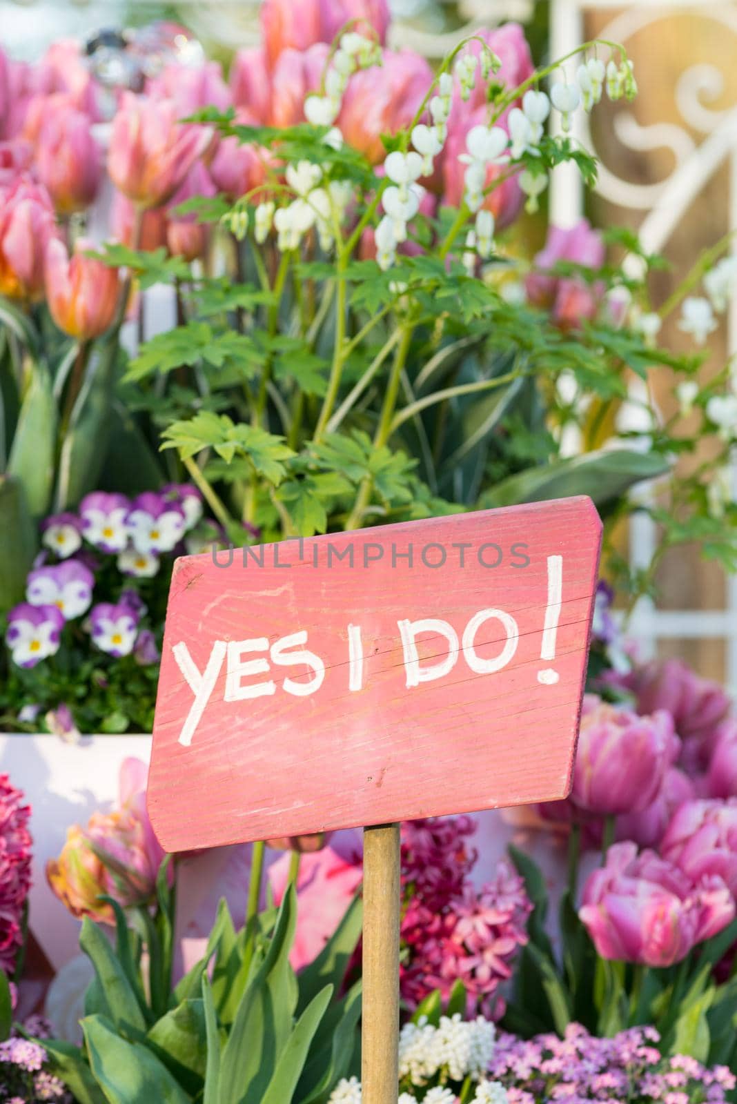 Pink sign saying 'Yes I do!' with flowers in the background by LeoniekvanderVliet