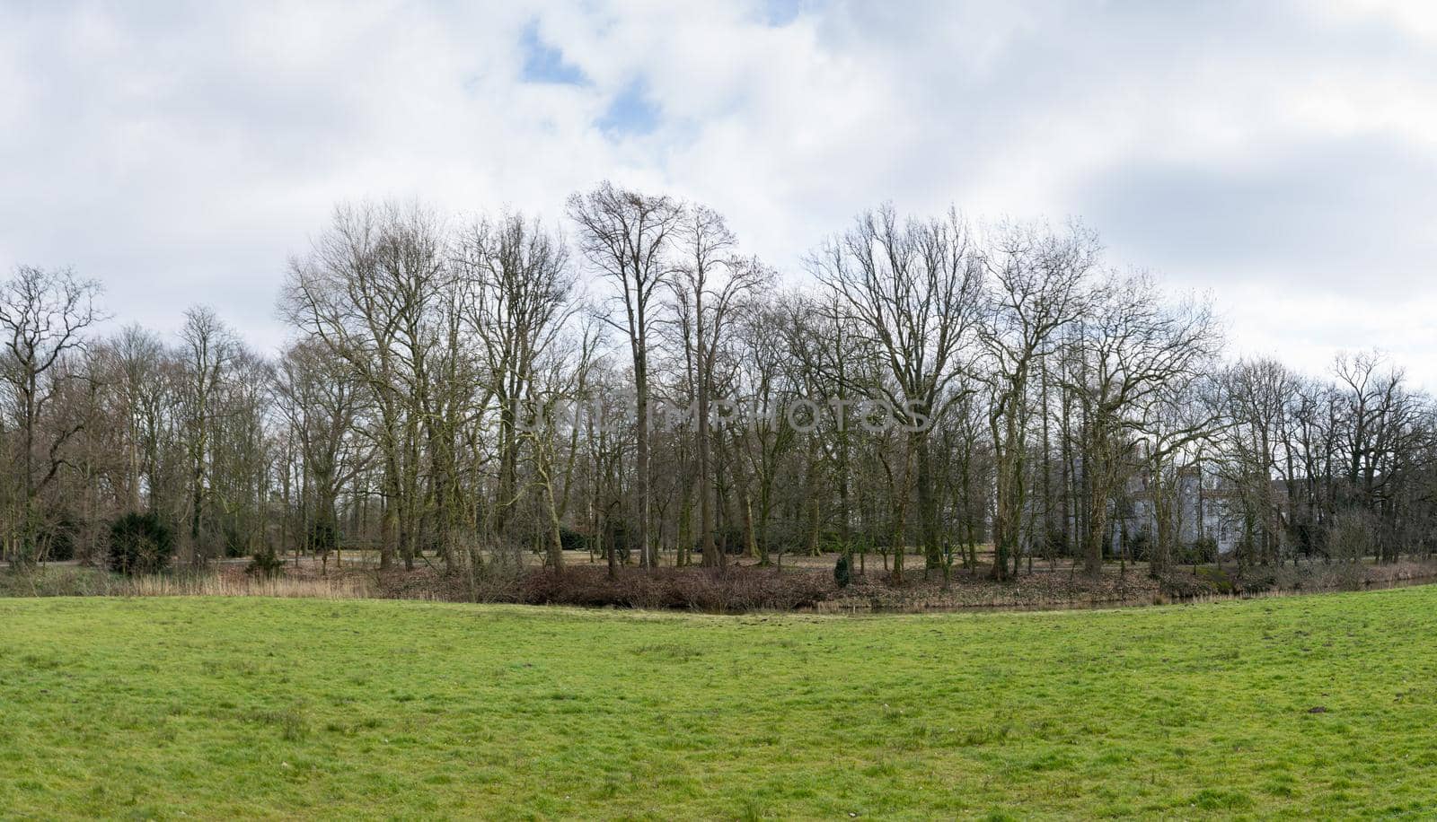 Grassland with bare trees panorama in Boxtel The Netherlands by LeoniekvanderVliet