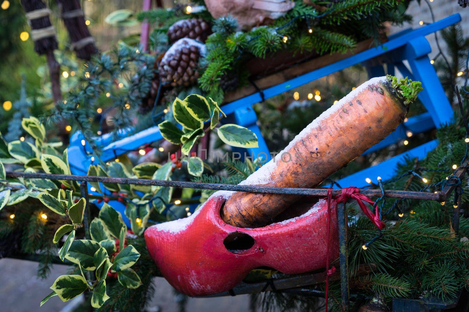 Wooden shoe (clogg) with carrot waiting for Sinterklaas and his horse to bring presents, Dutch tradition for children to get presents by LeoniekvanderVliet