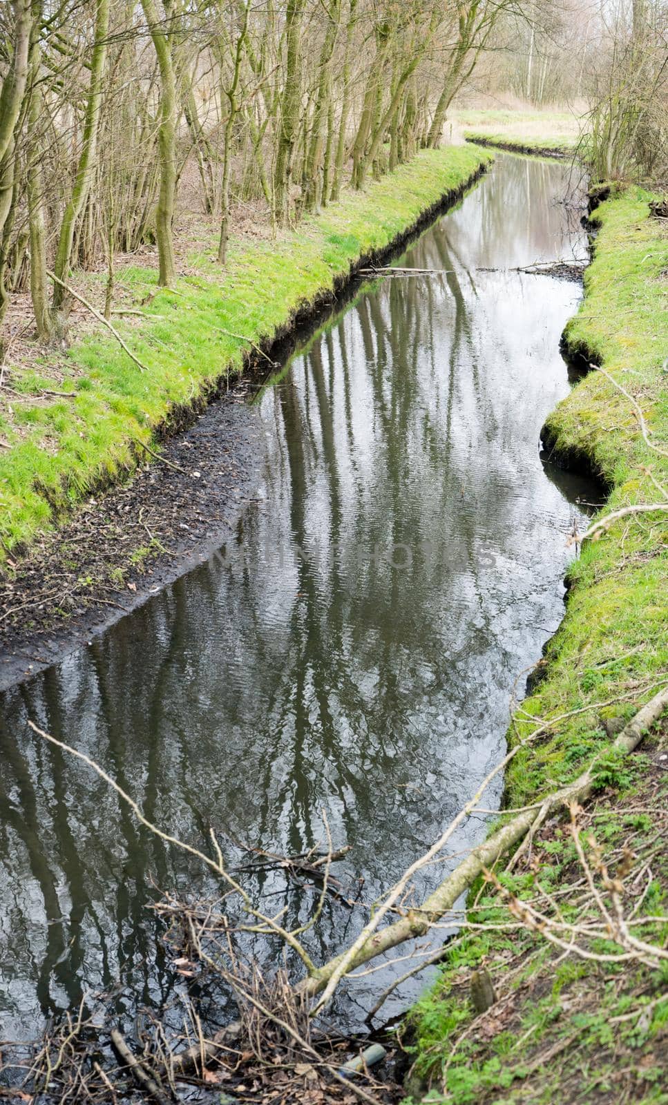 View down a brook with grassland and bare trees that reflect in the water in early spring by LeoniekvanderVliet