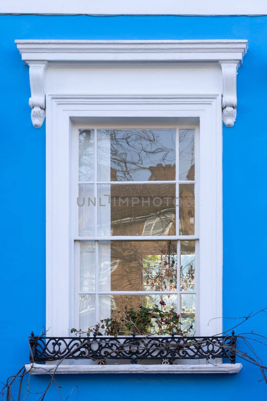 White window in a blue wall with a black metal bannister with plants on a window-ledge in London, England