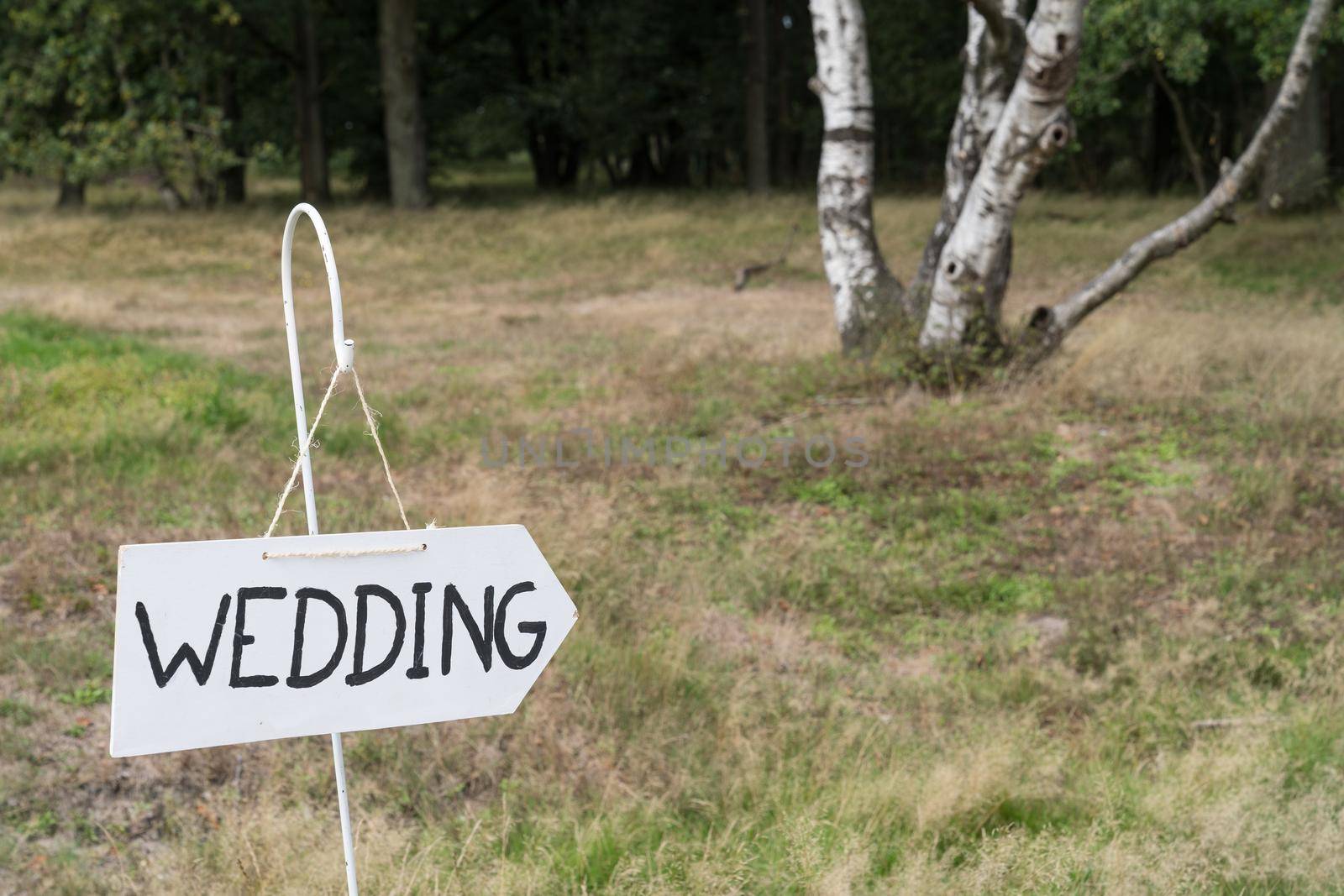 Wooden direction with wedding text standing in a field near a forest outside