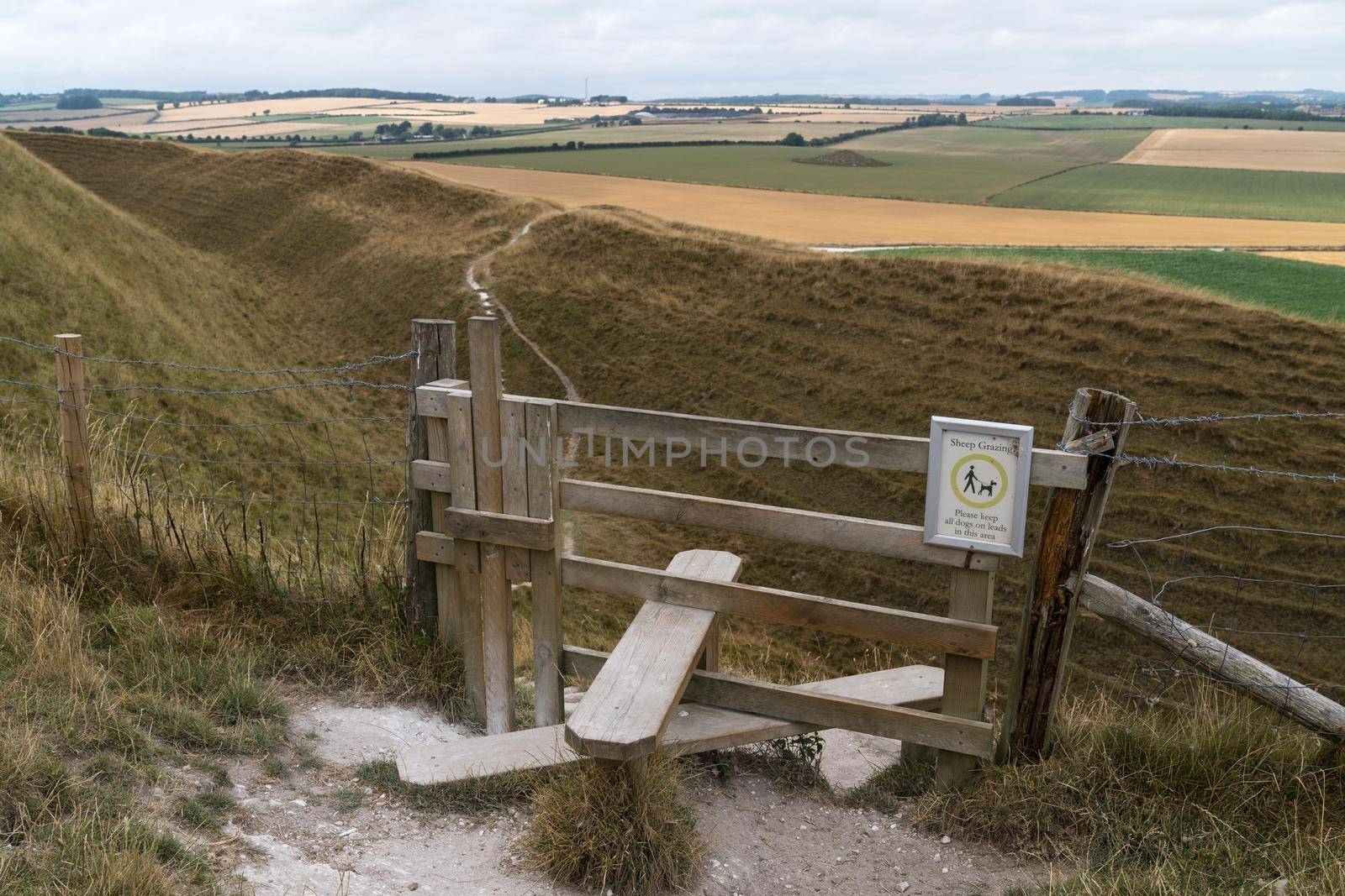 Typical english country stile with dog gate leading to meadow Maiden Castle Dorset Dorchester United Kingdom by LeoniekvanderVliet